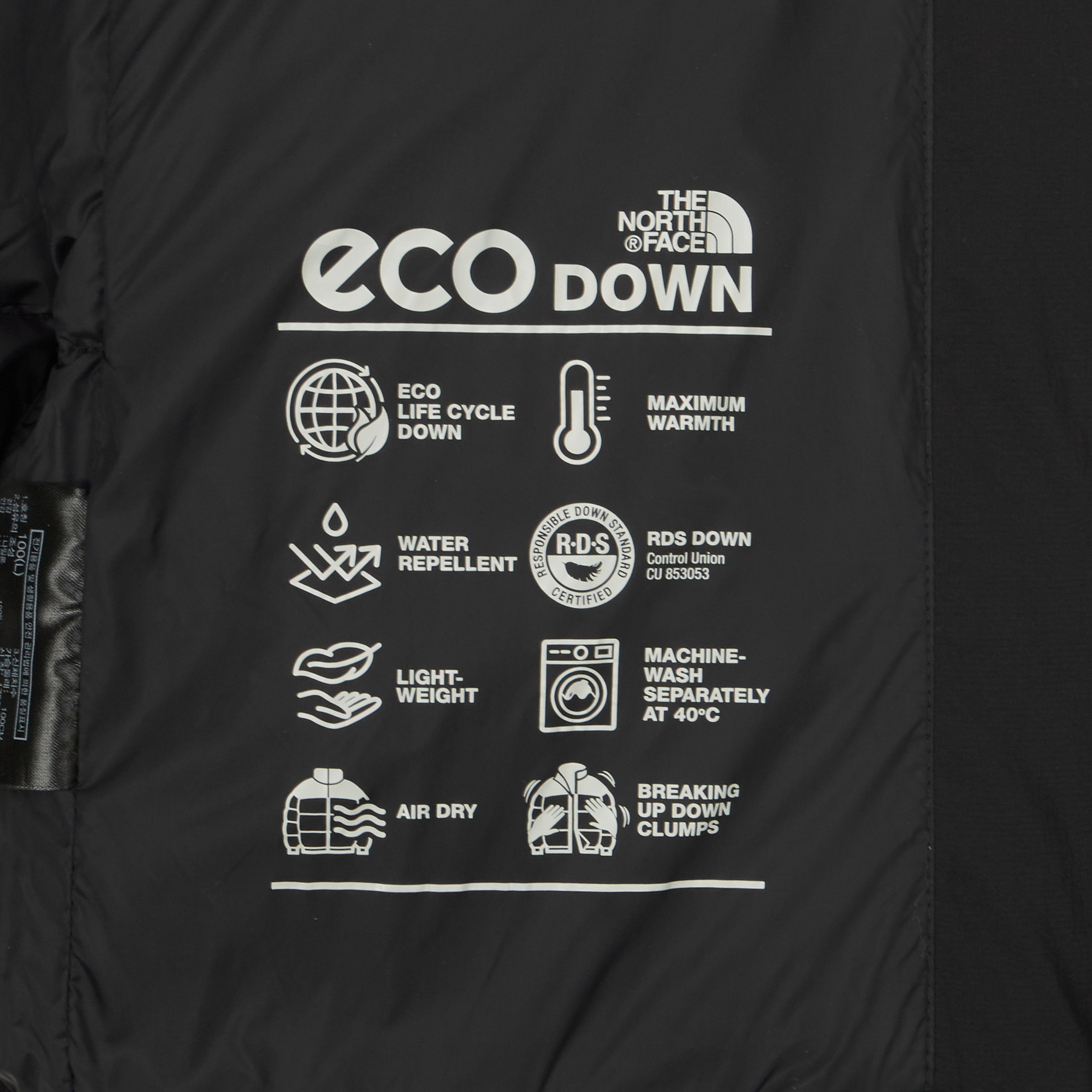 M'S CLOUD DOWN JACKET (RDS)