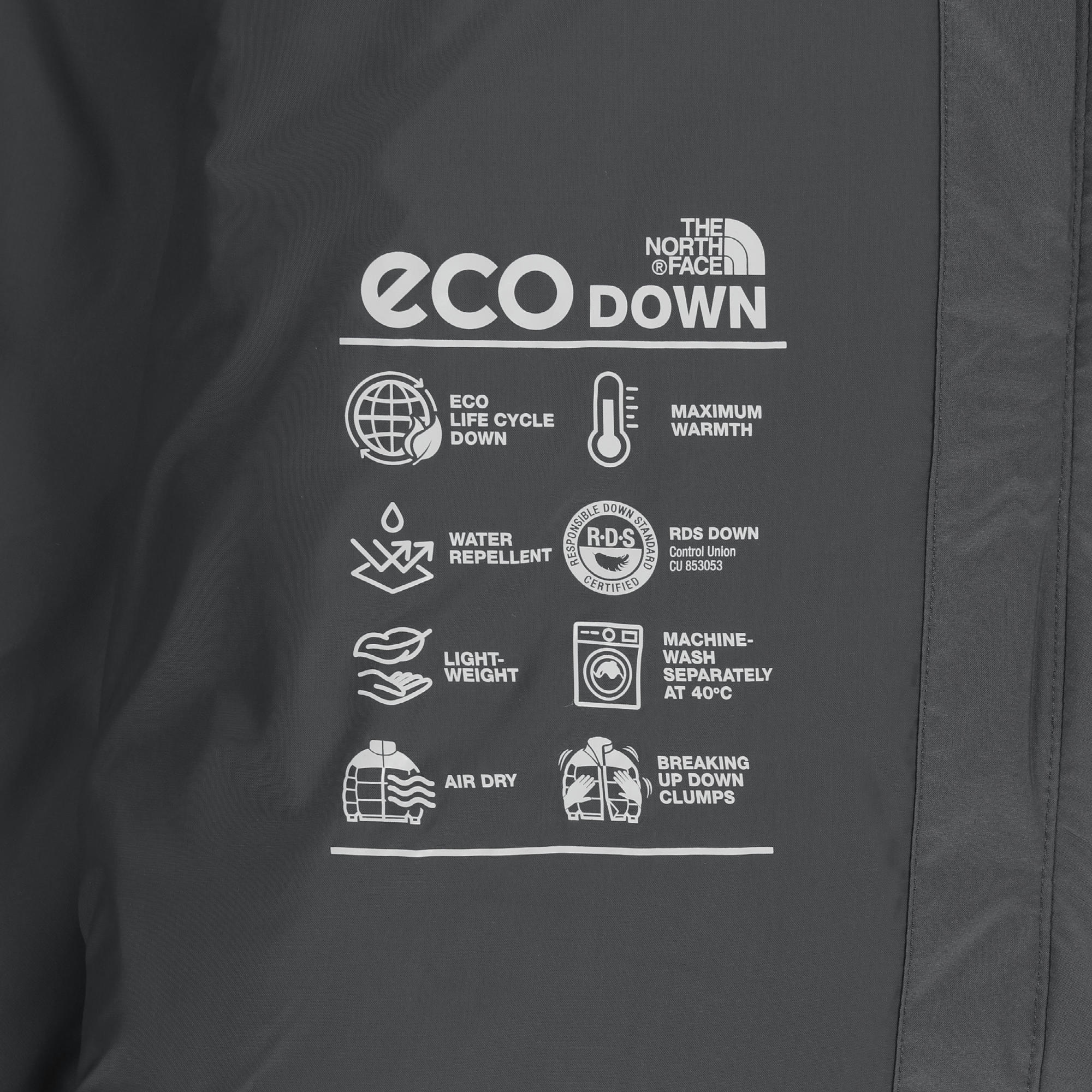 W'S NOVELTY NUPTSE MID JACKET (RDS)