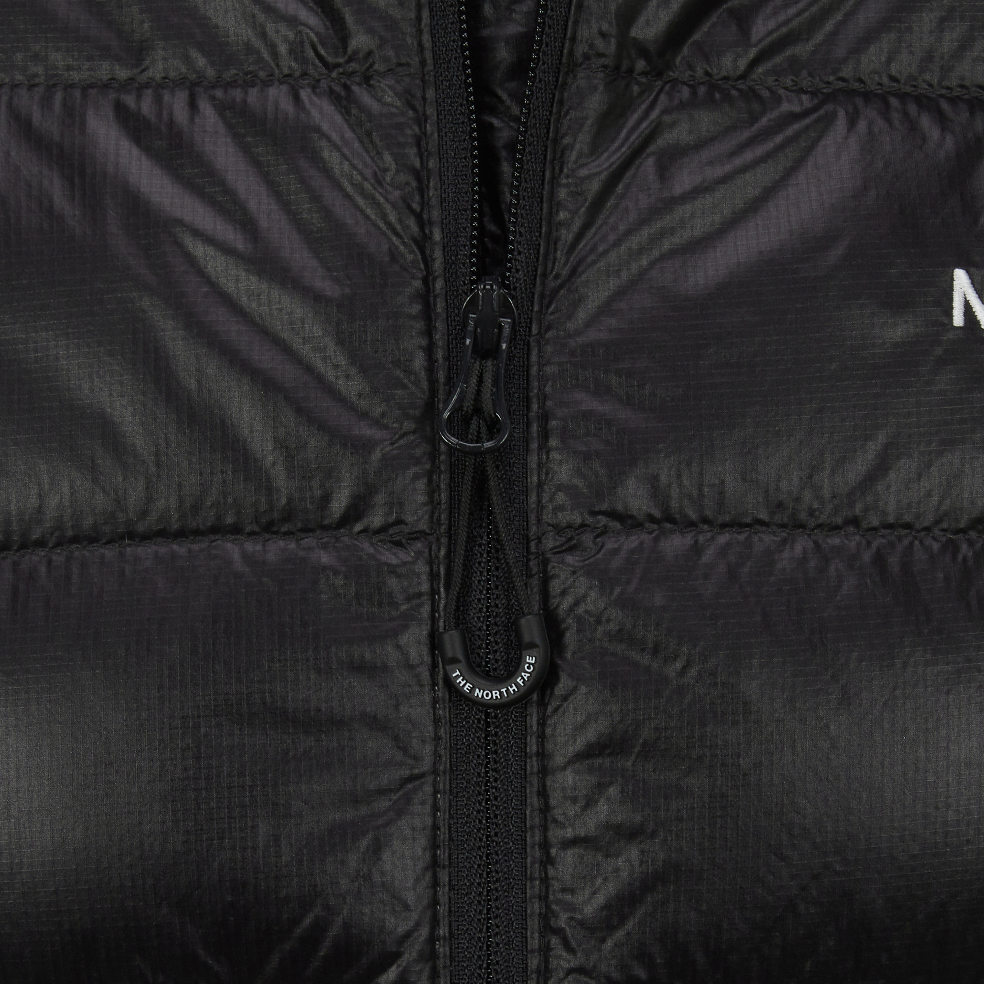 W'S MATIER DOWN HOODIE (RDS)