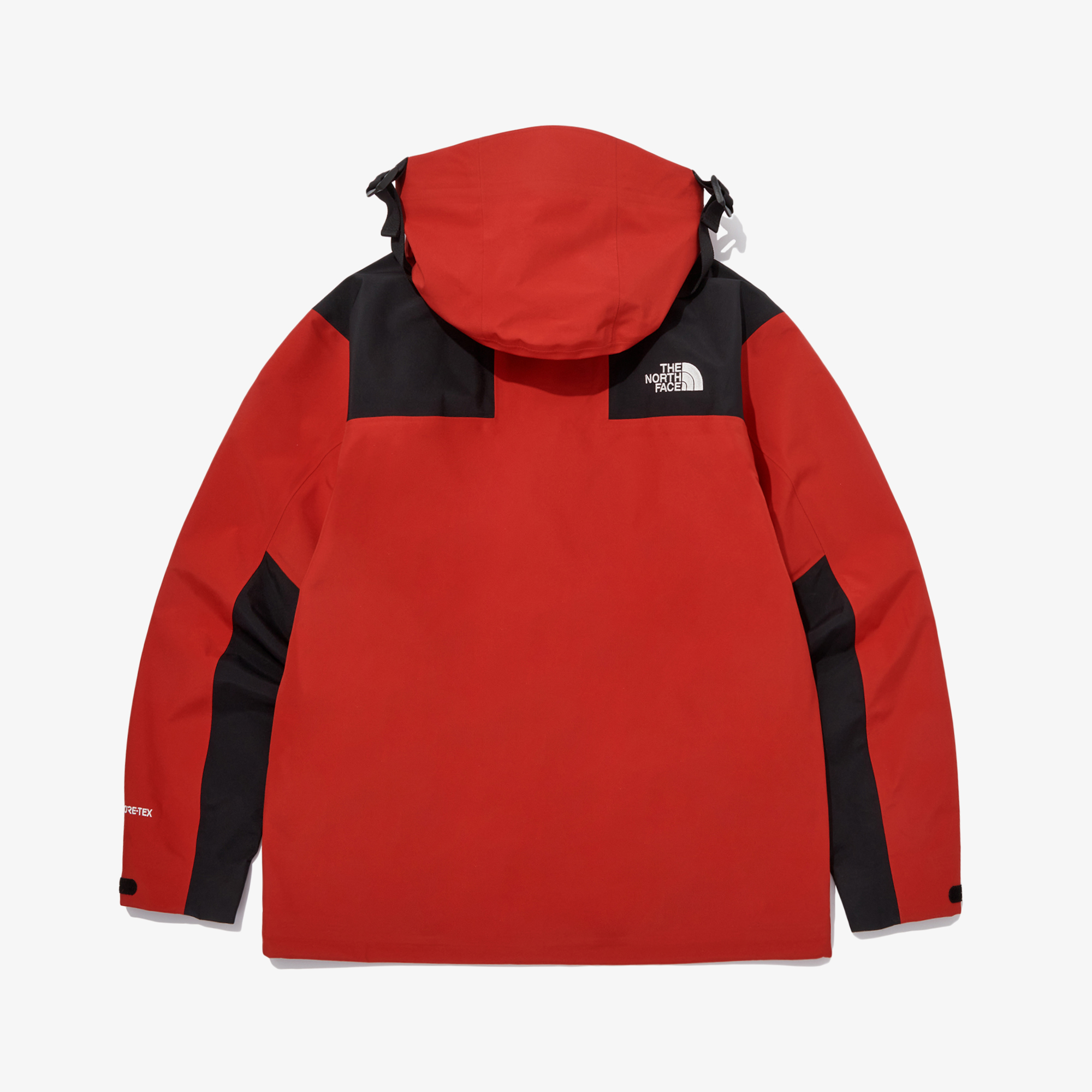 M'S GTX MOUNTAIN 3L JACKET
