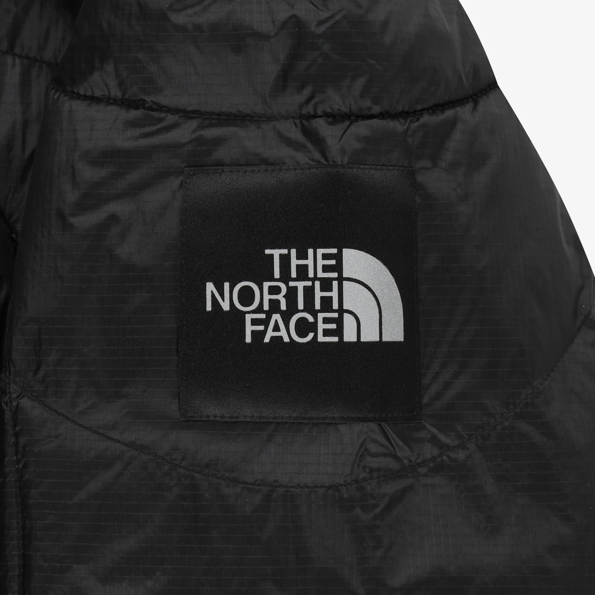 WAVE LT ON JACKET