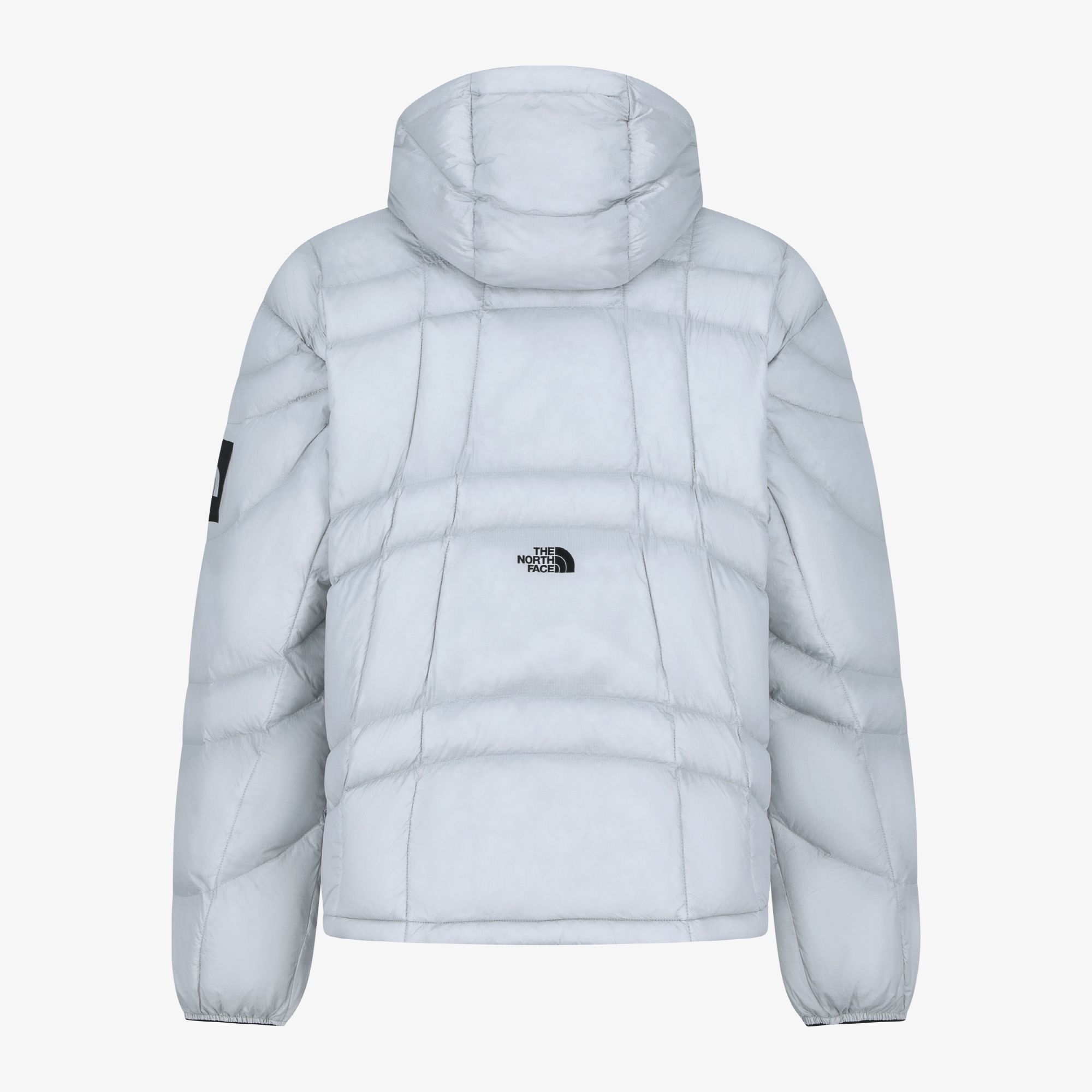 WAVE LT ON JACKET