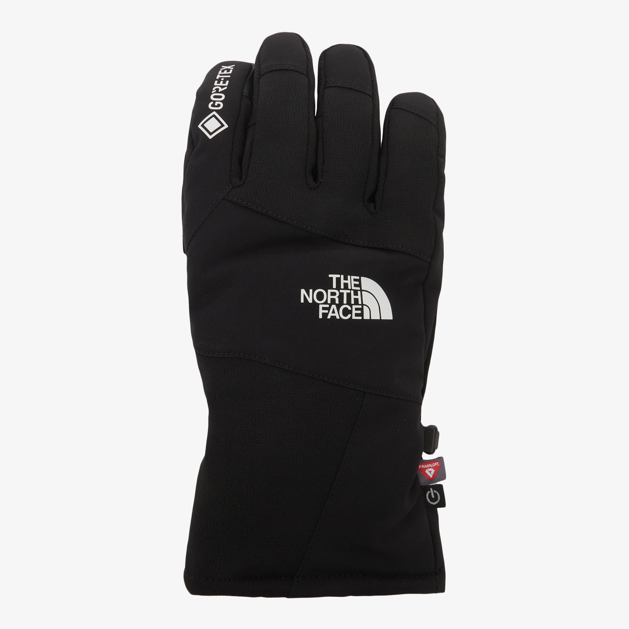 TNF GTX VAIL GLOVE