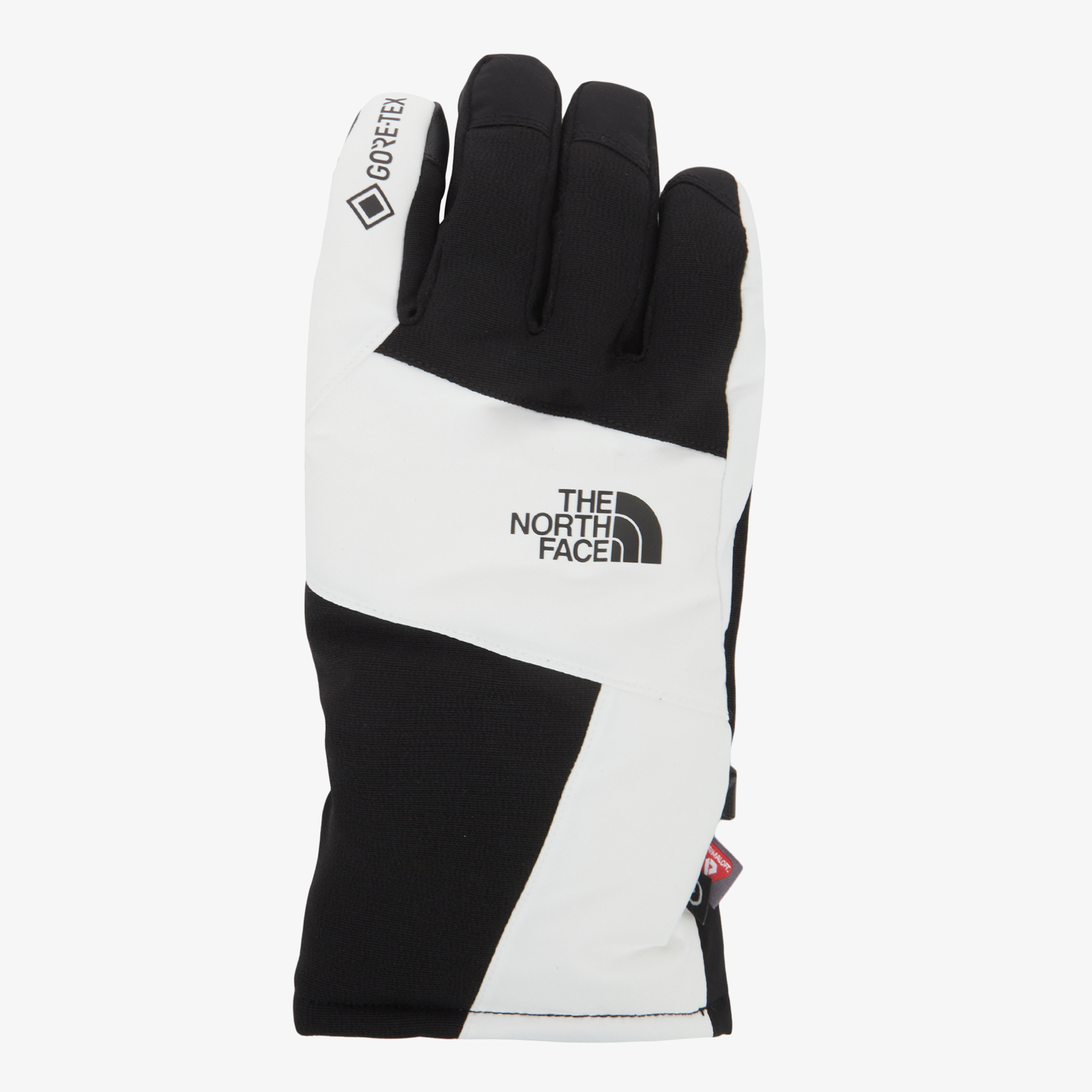 TNF GTX VAIL GLOVE