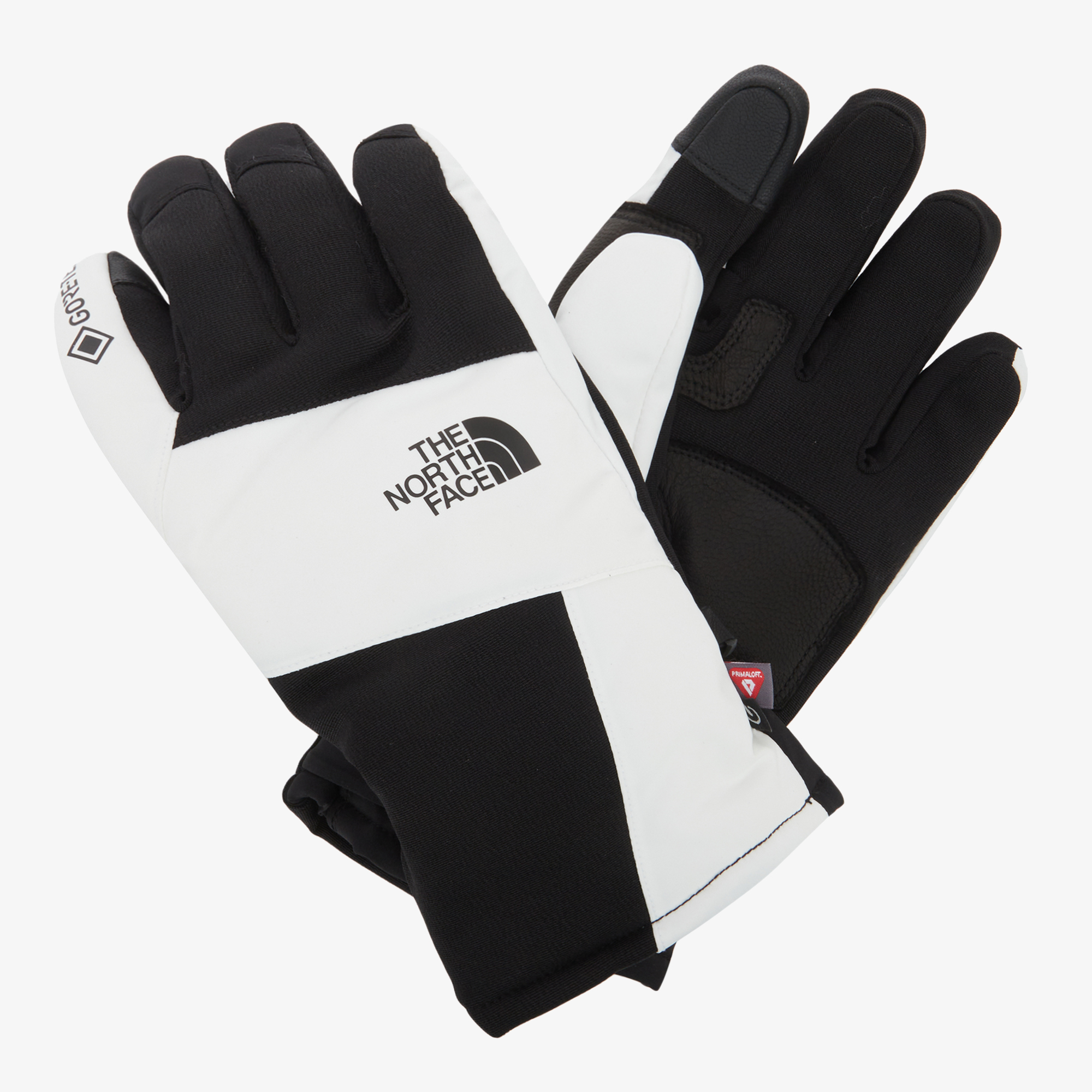 TNF GTX VAIL GLOVE