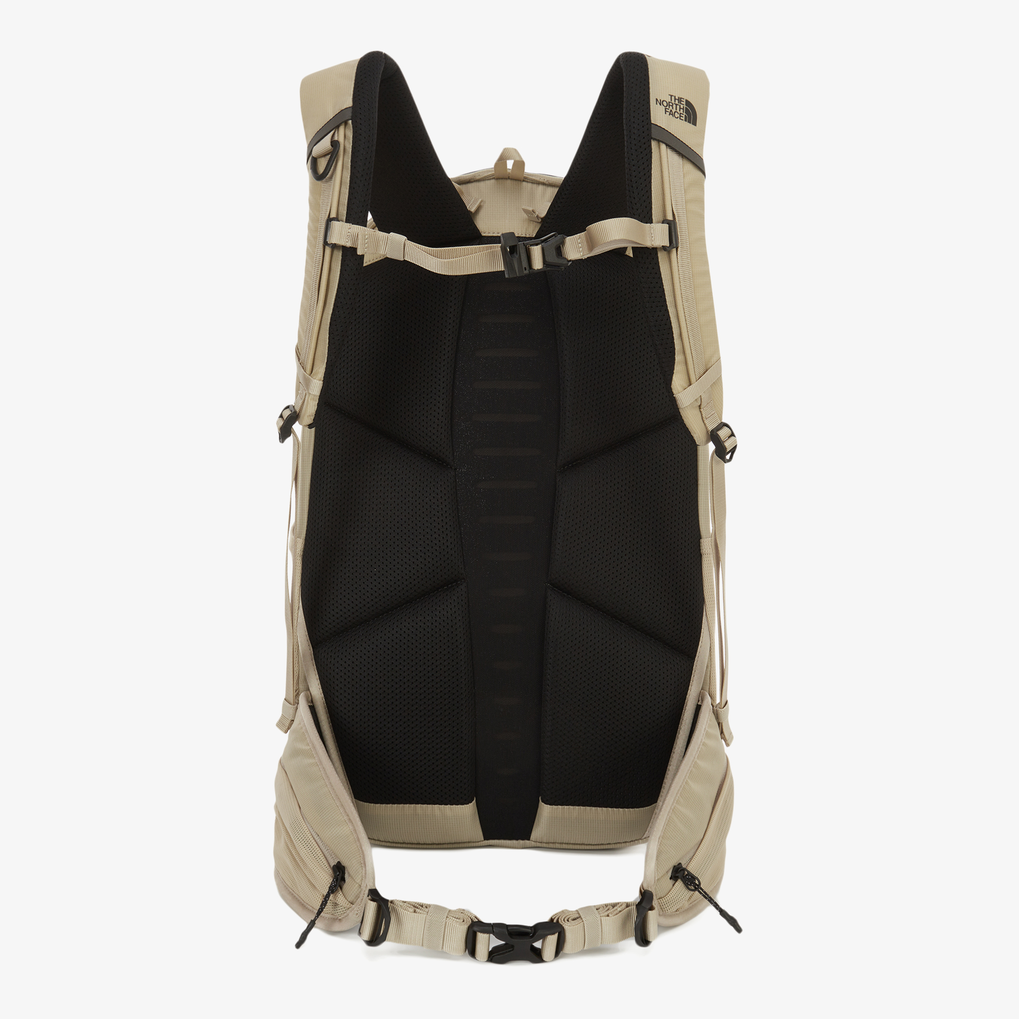 ASCEND LT 25