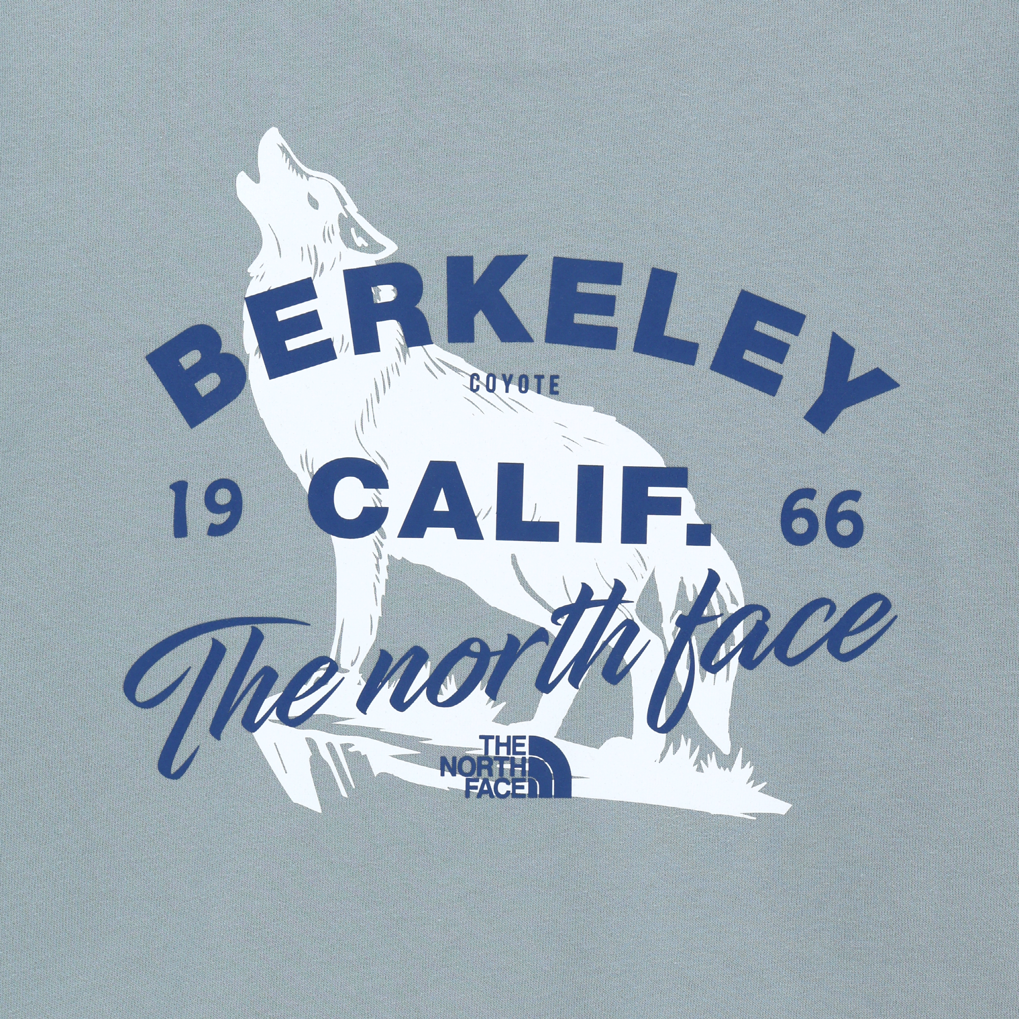 BERKELEY SWEATSHIRTS
