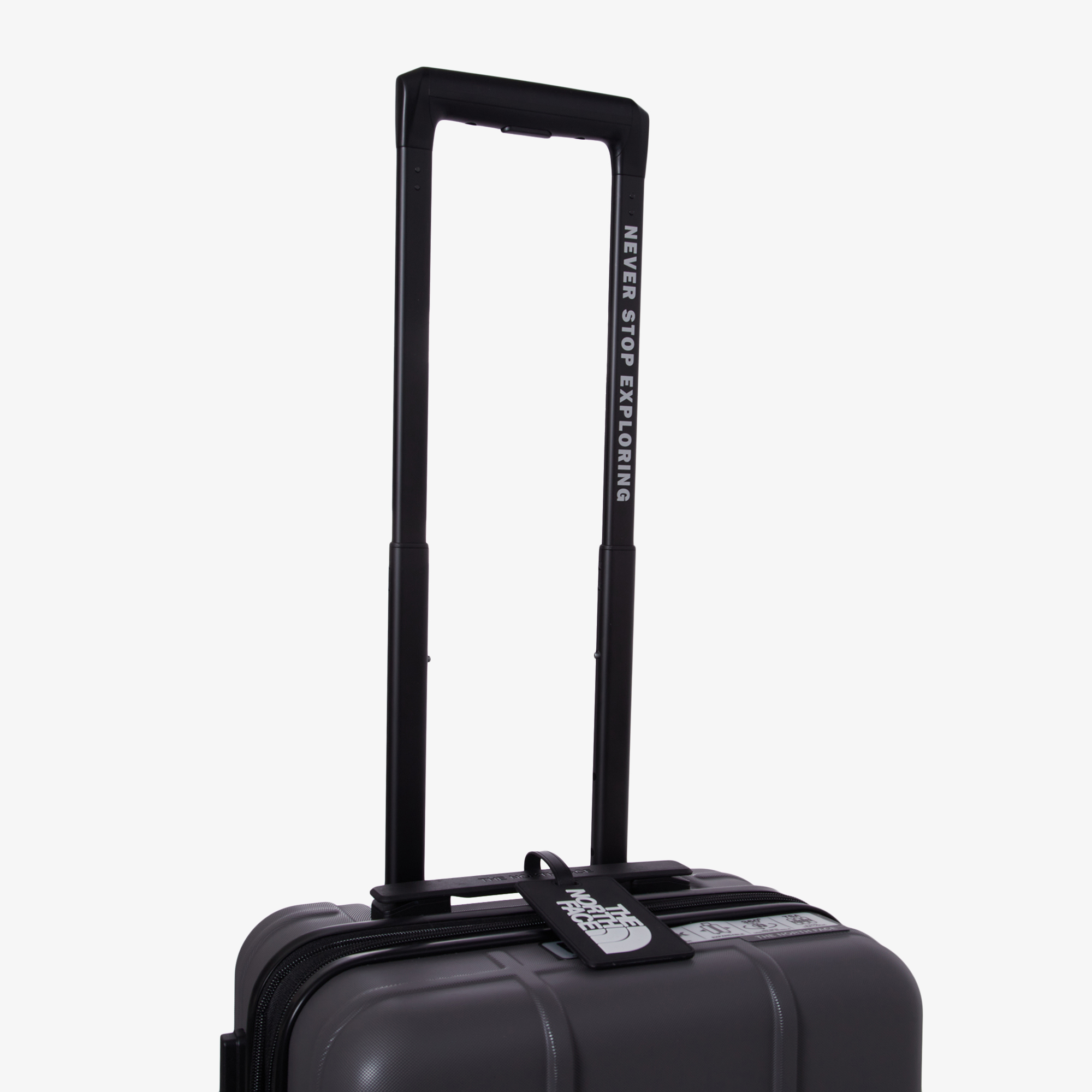 TNF NEW WHEELER 20