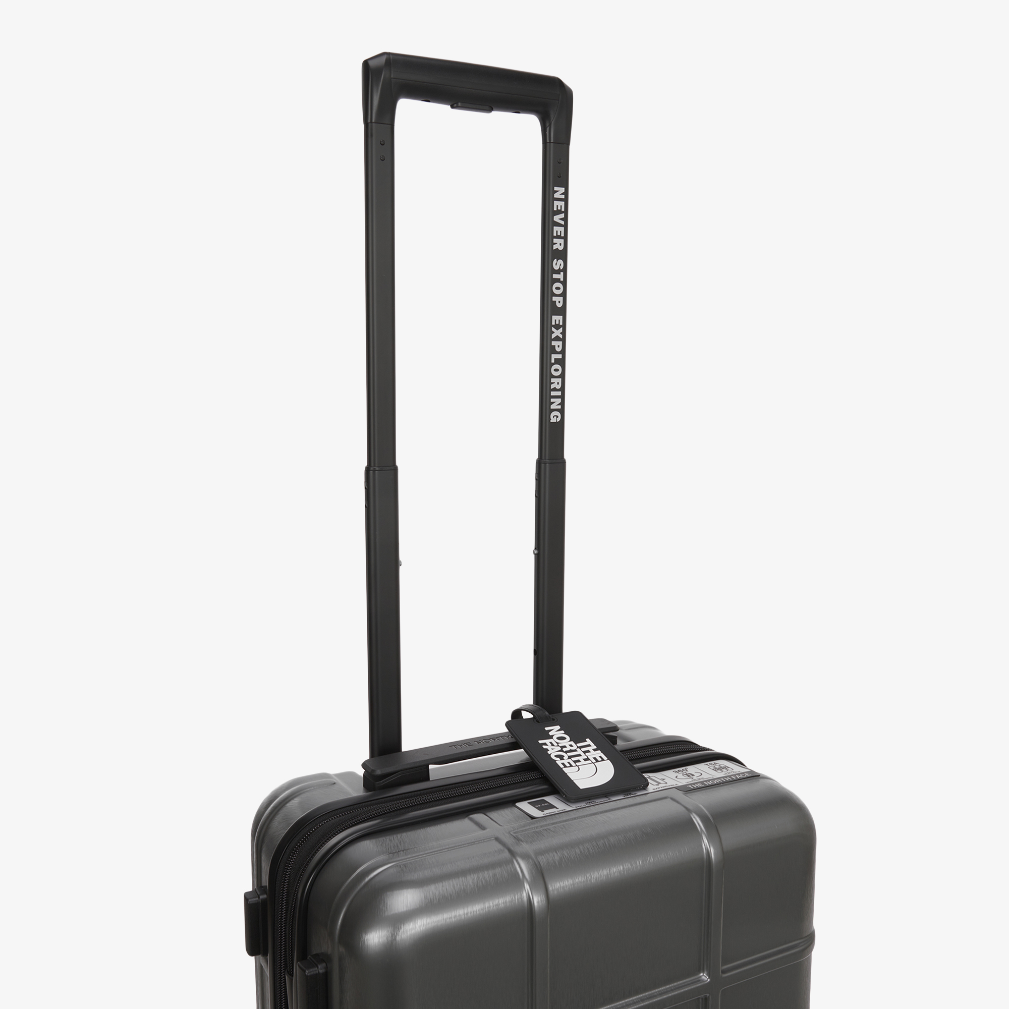 TNF NEW WHEELER 20
