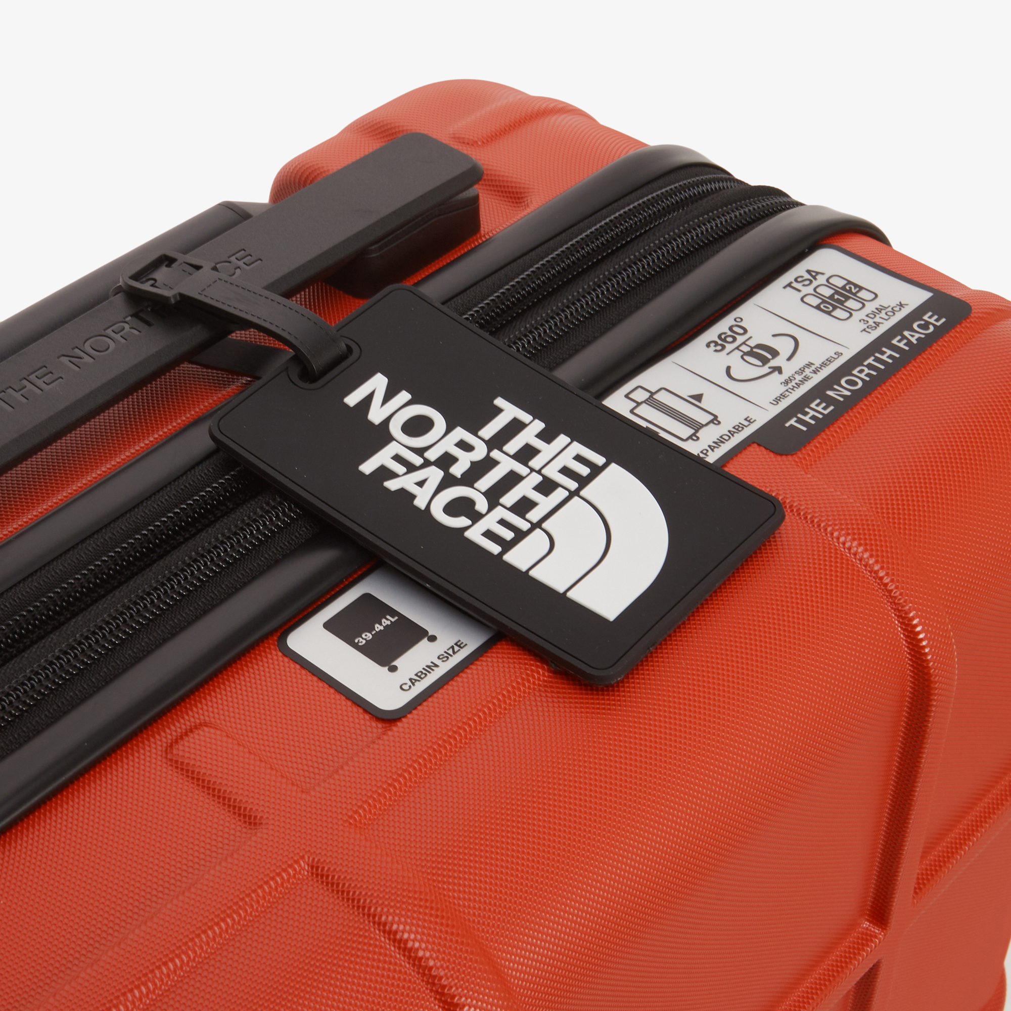 TNF NEW WHEELER 20