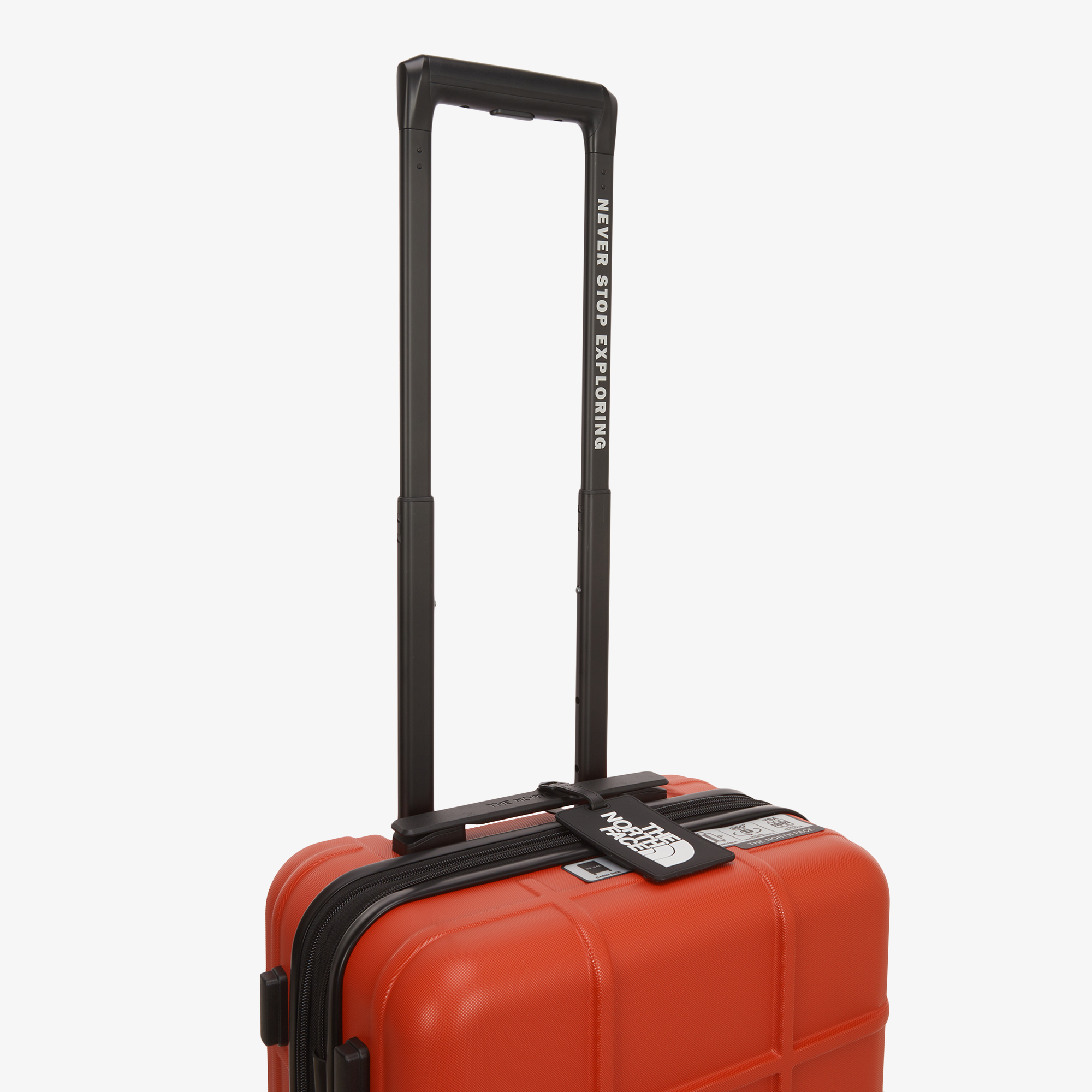 TNF NEW WHEELER 20