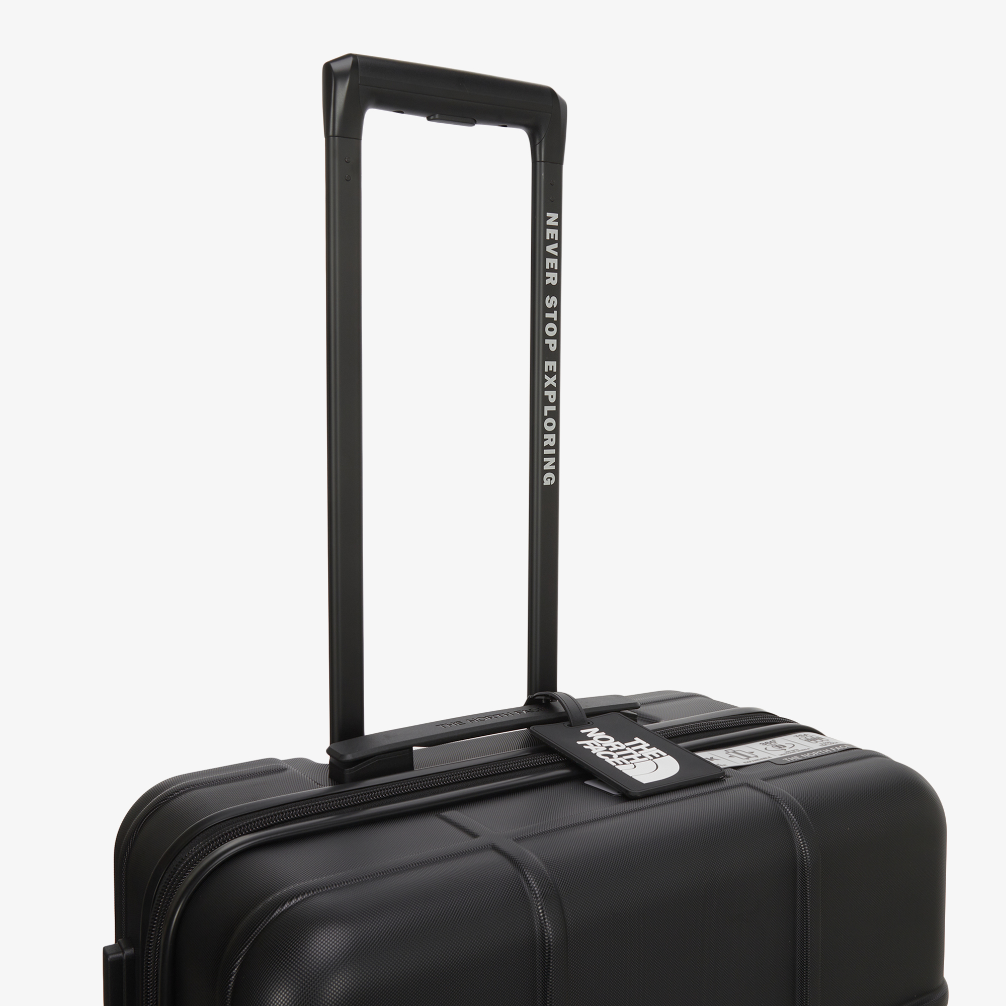 TNF NEW WHEELER 24