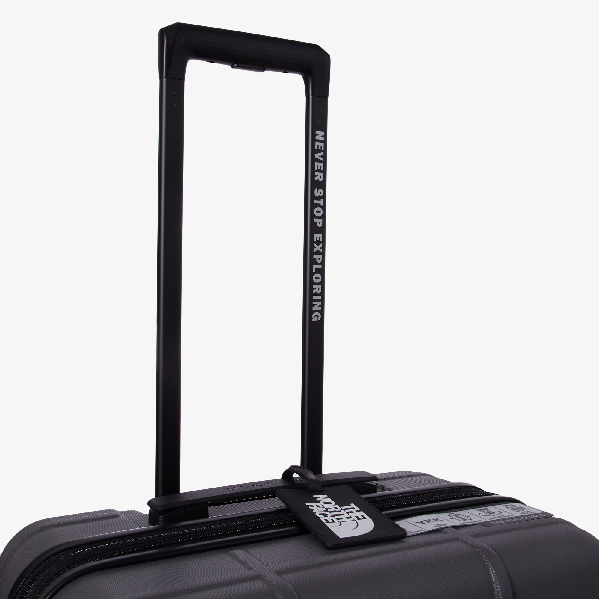 TNF NEW WHEELER 24