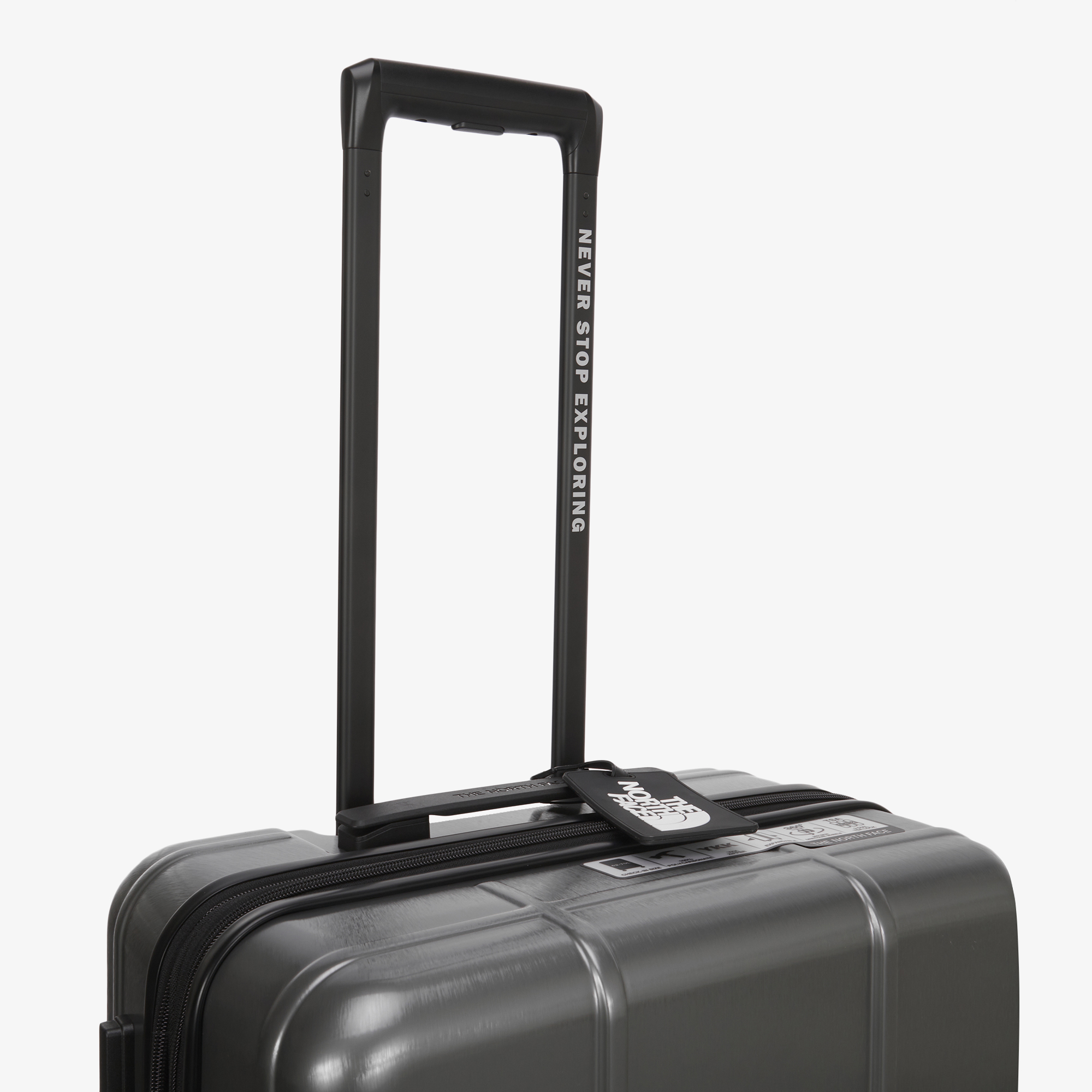 TNF NEW WHEELER 24