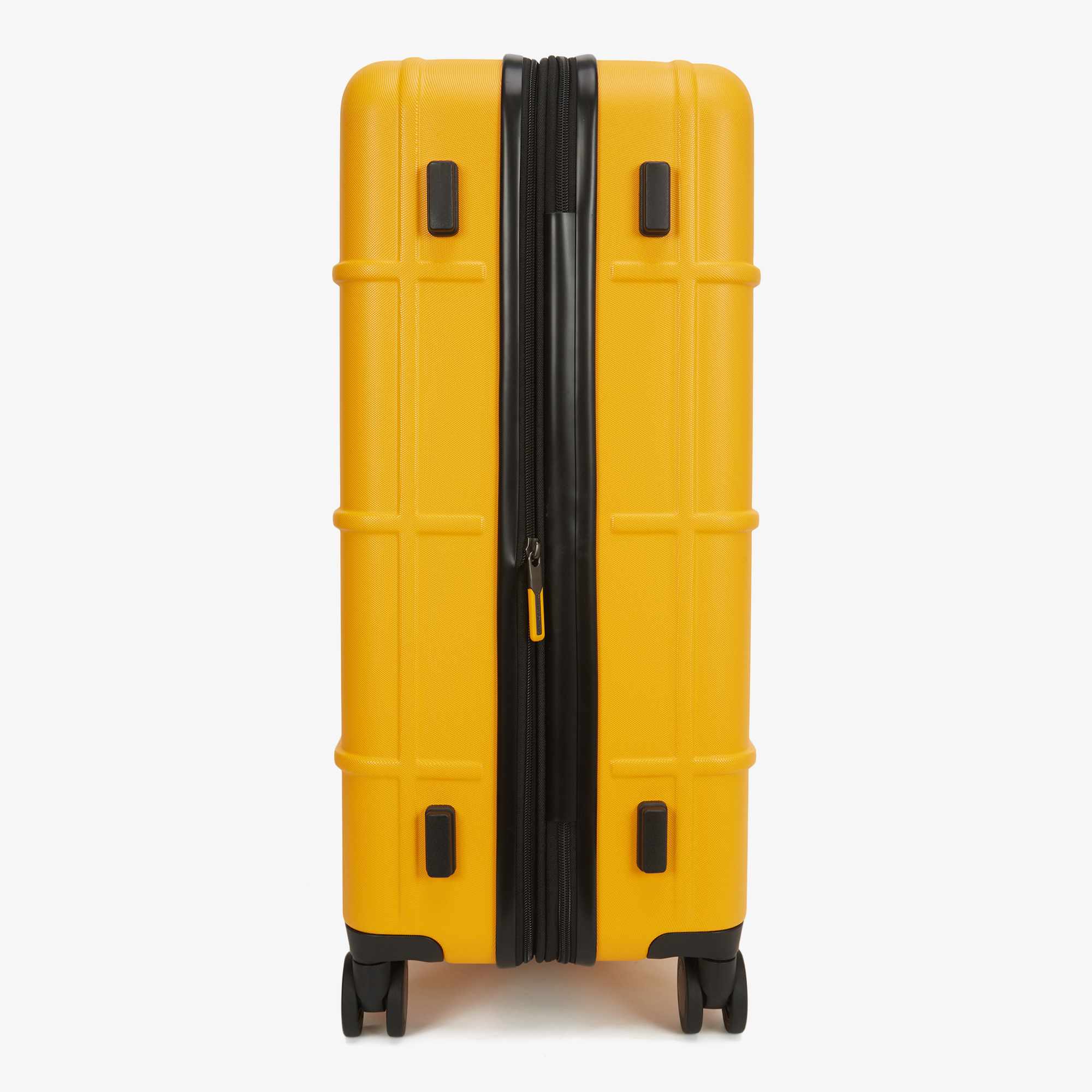TNF NEW WHEELER 24