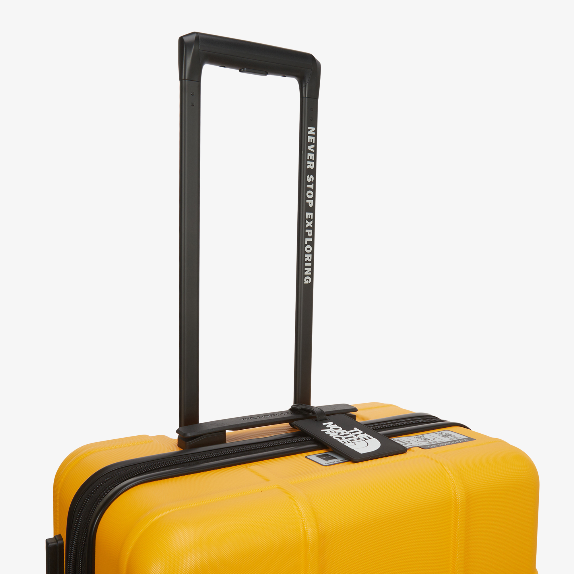 TNF NEW WHEELER 24