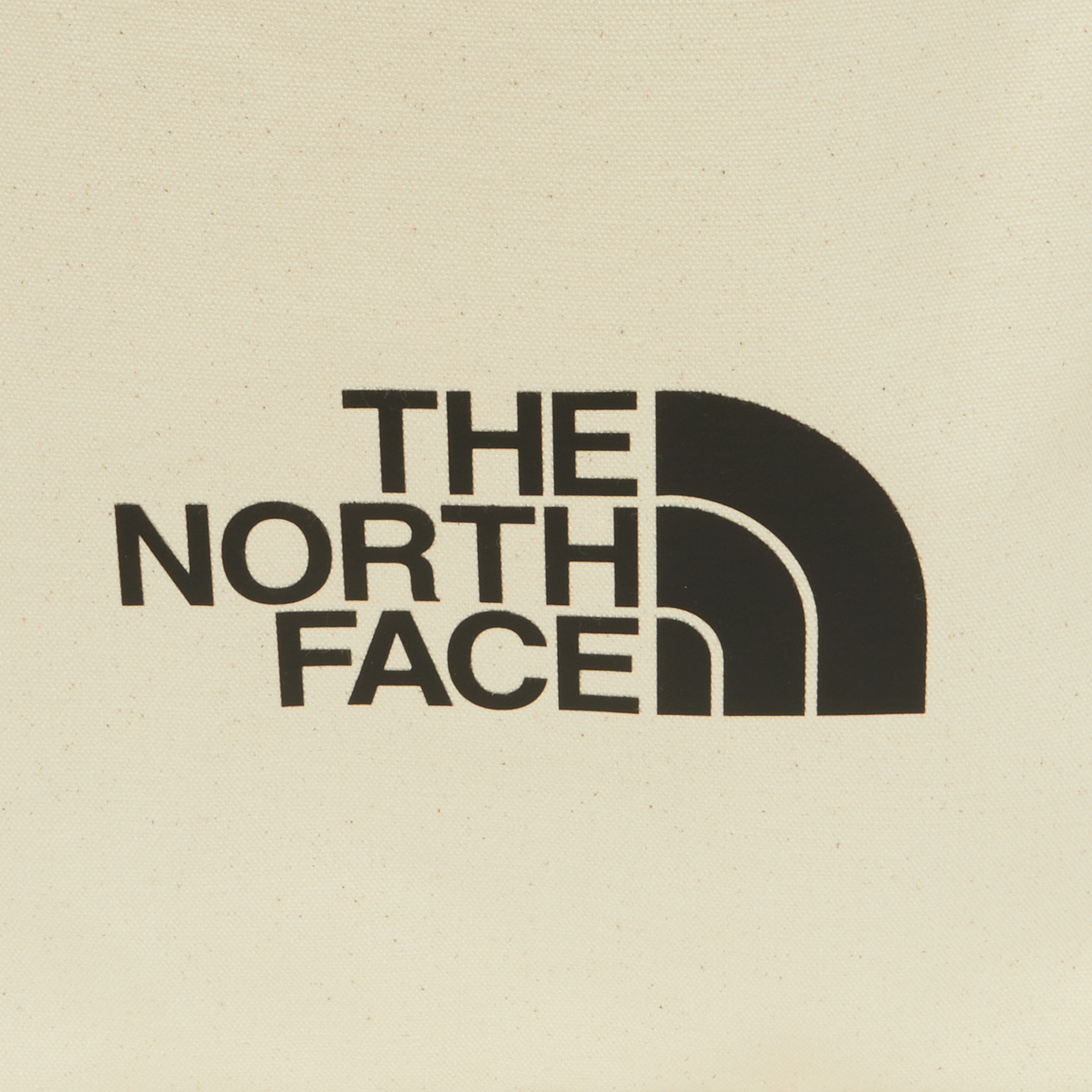 TNF TRIG BAG