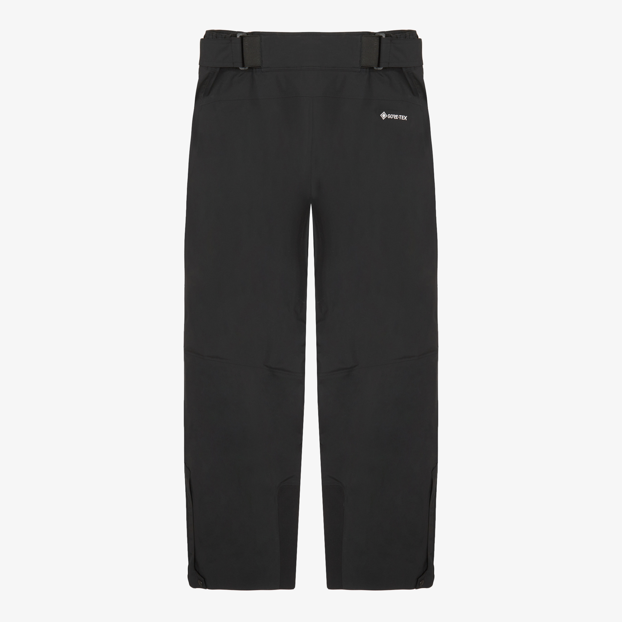 M'S WHISTLER GTX SKI PANTS