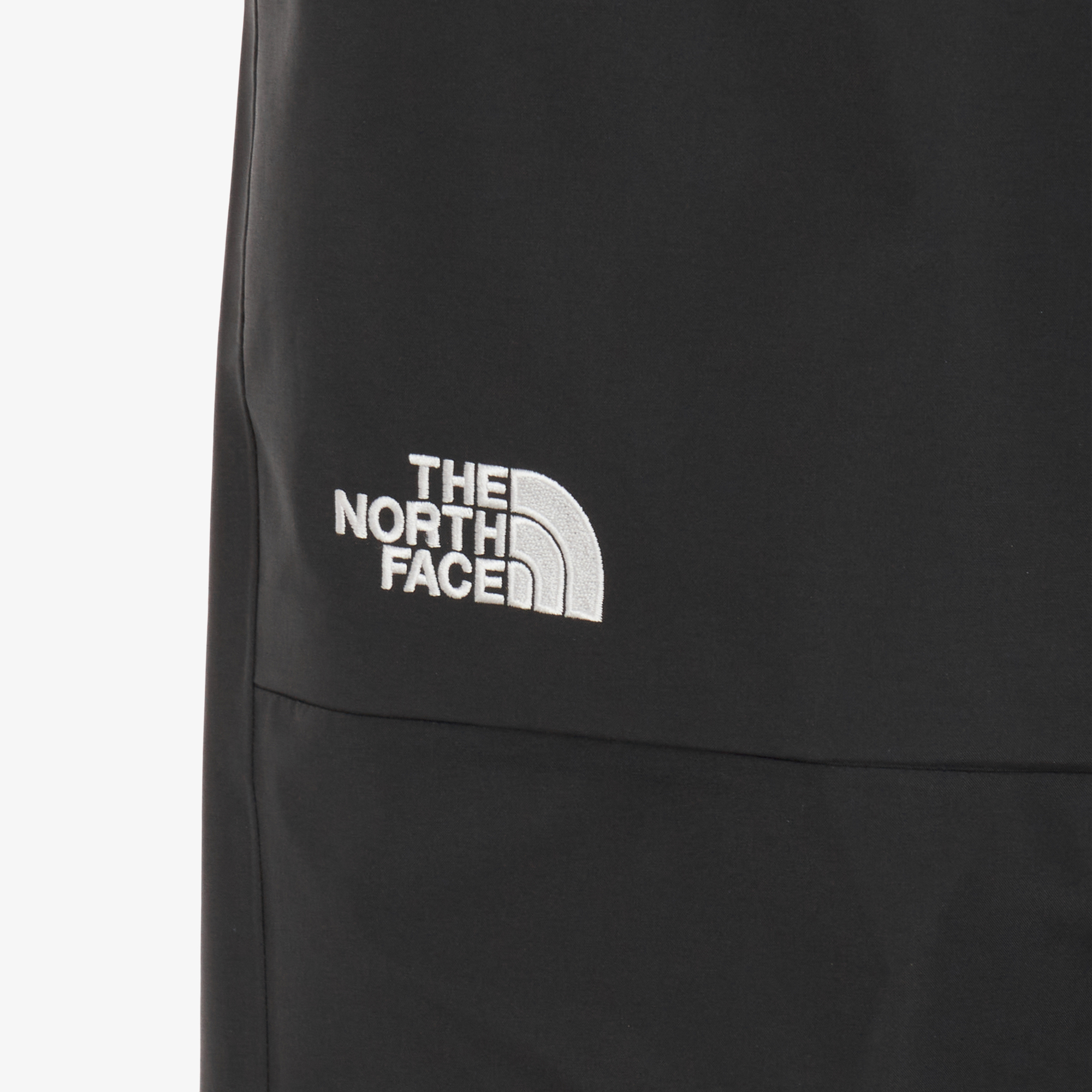 M'S WHISTLER GTX SKI PANTS