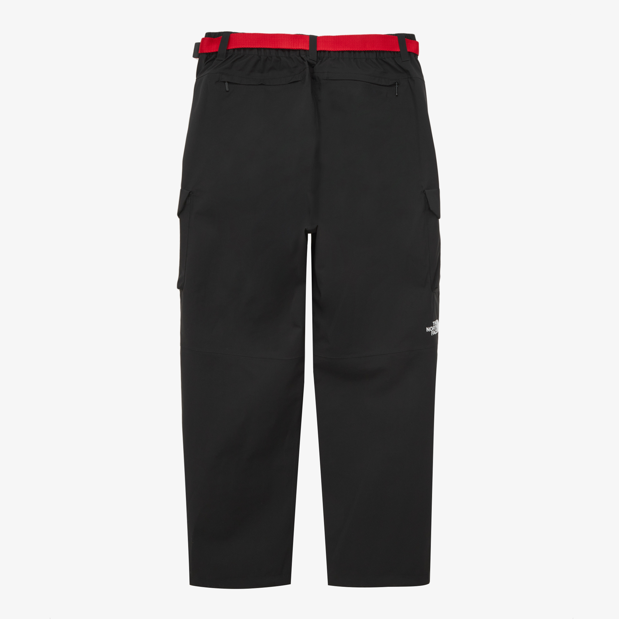 M'S MOUNTAIN 3L PANTS