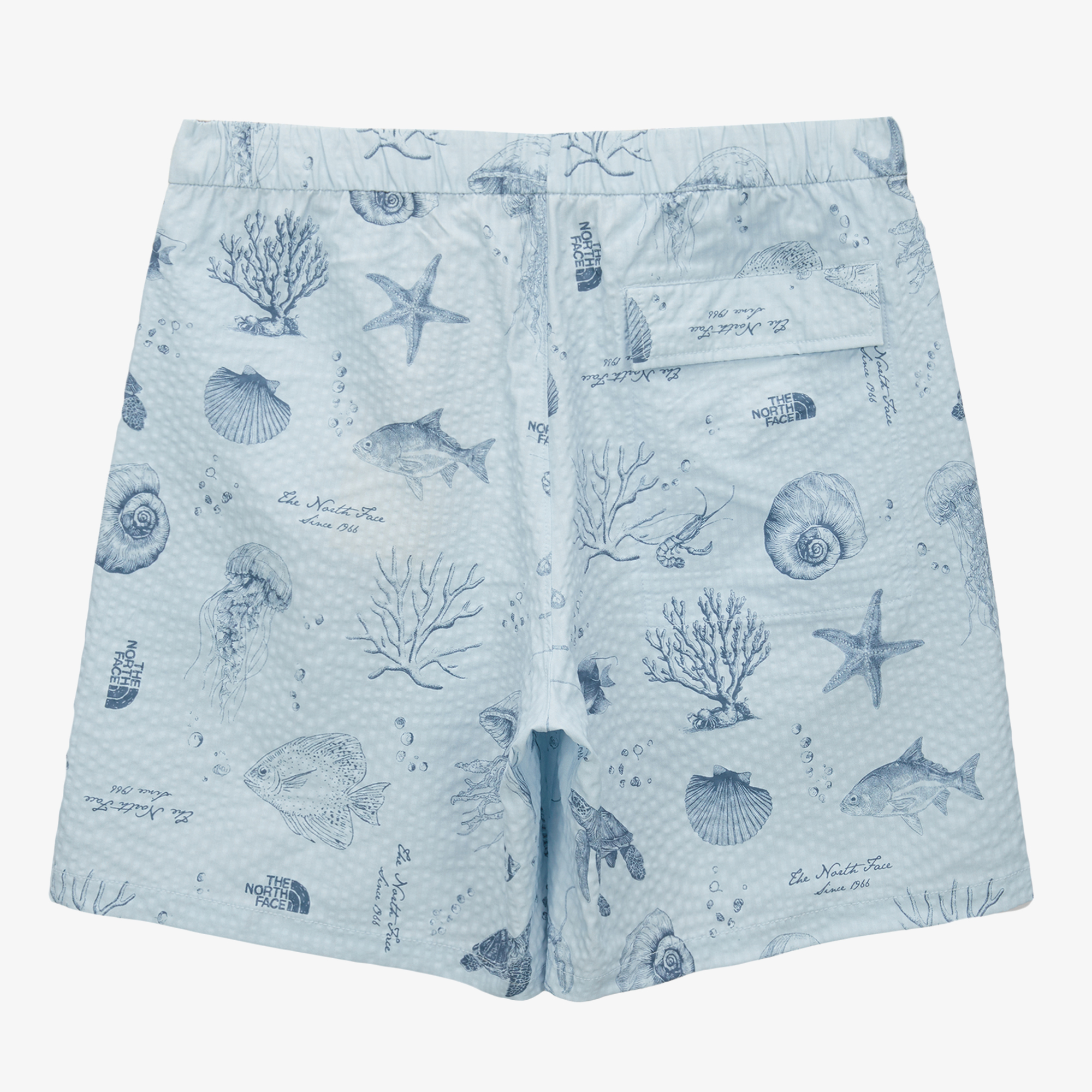 M'S MARIS SHORTS