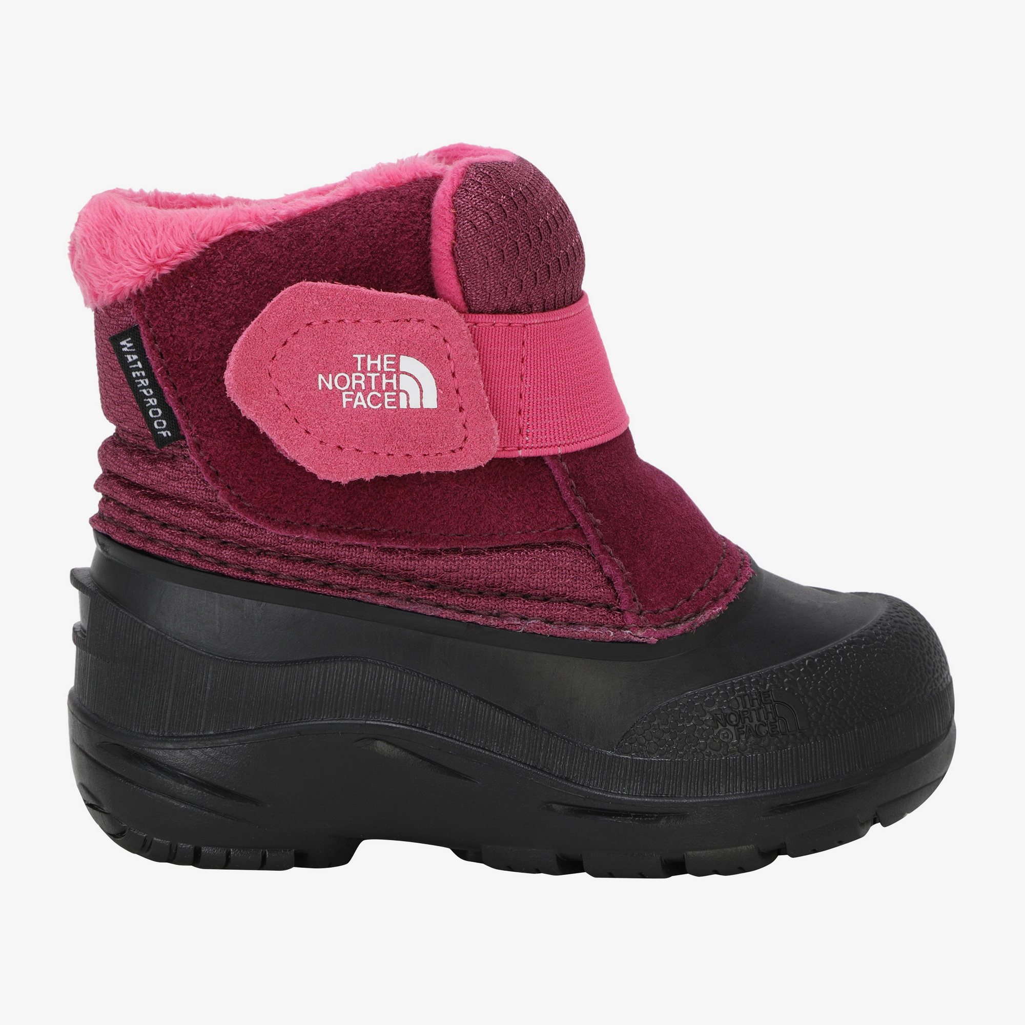 K'S ALPENGLOW II TODDLER
