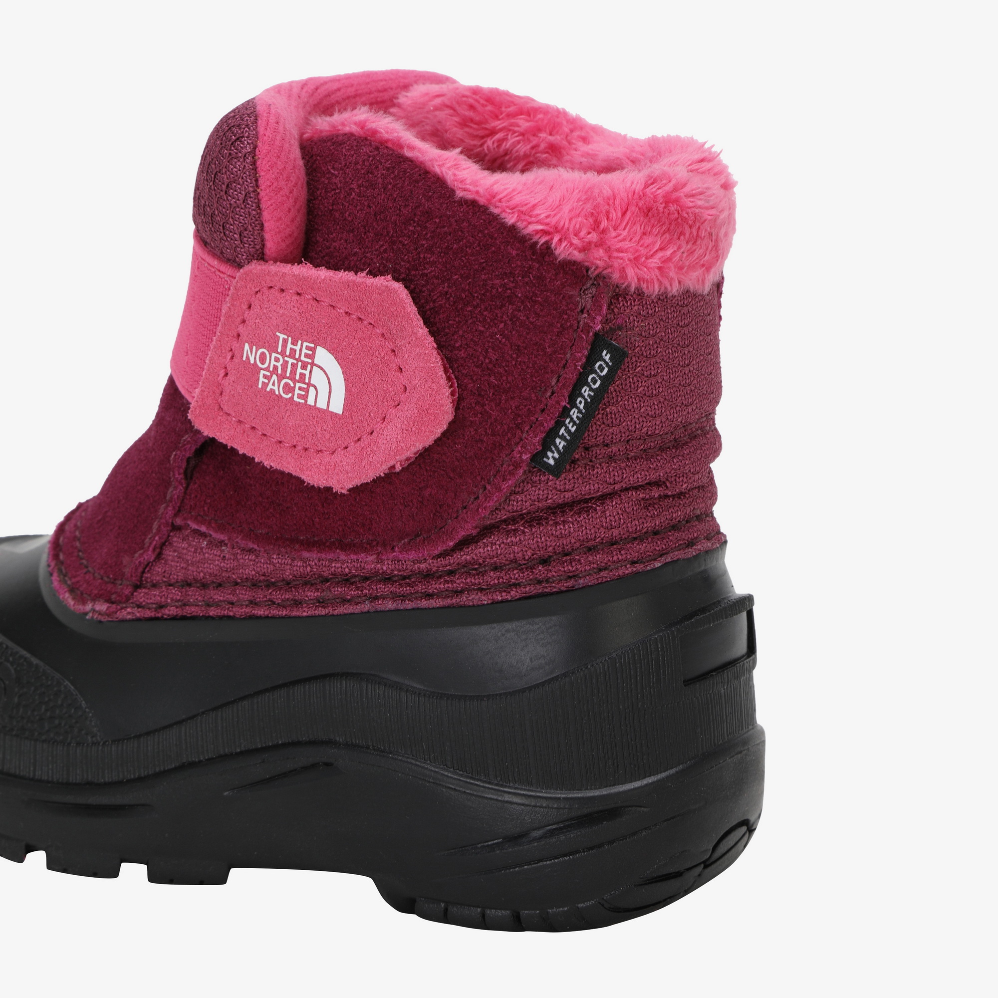 K'S ALPENGLOW II TODDLER