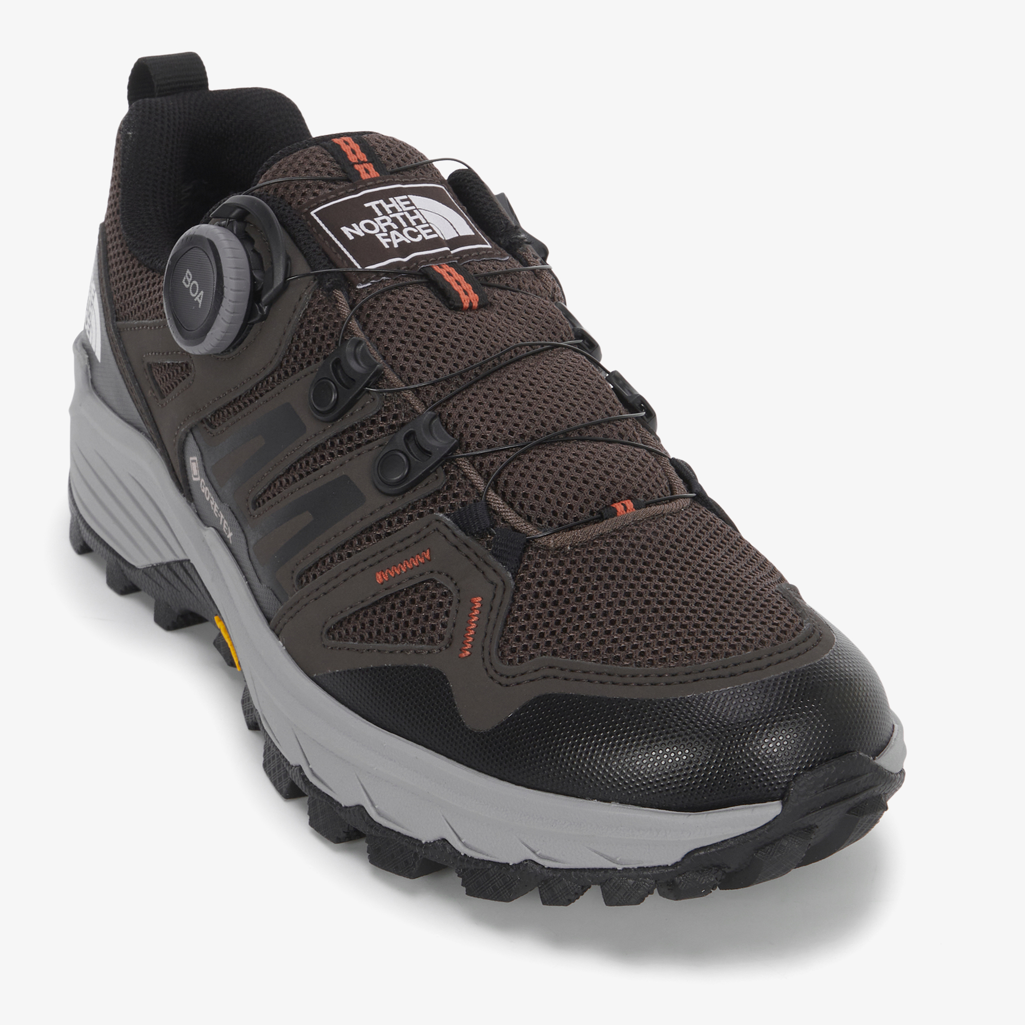 HEDGEHOG BOA GTX