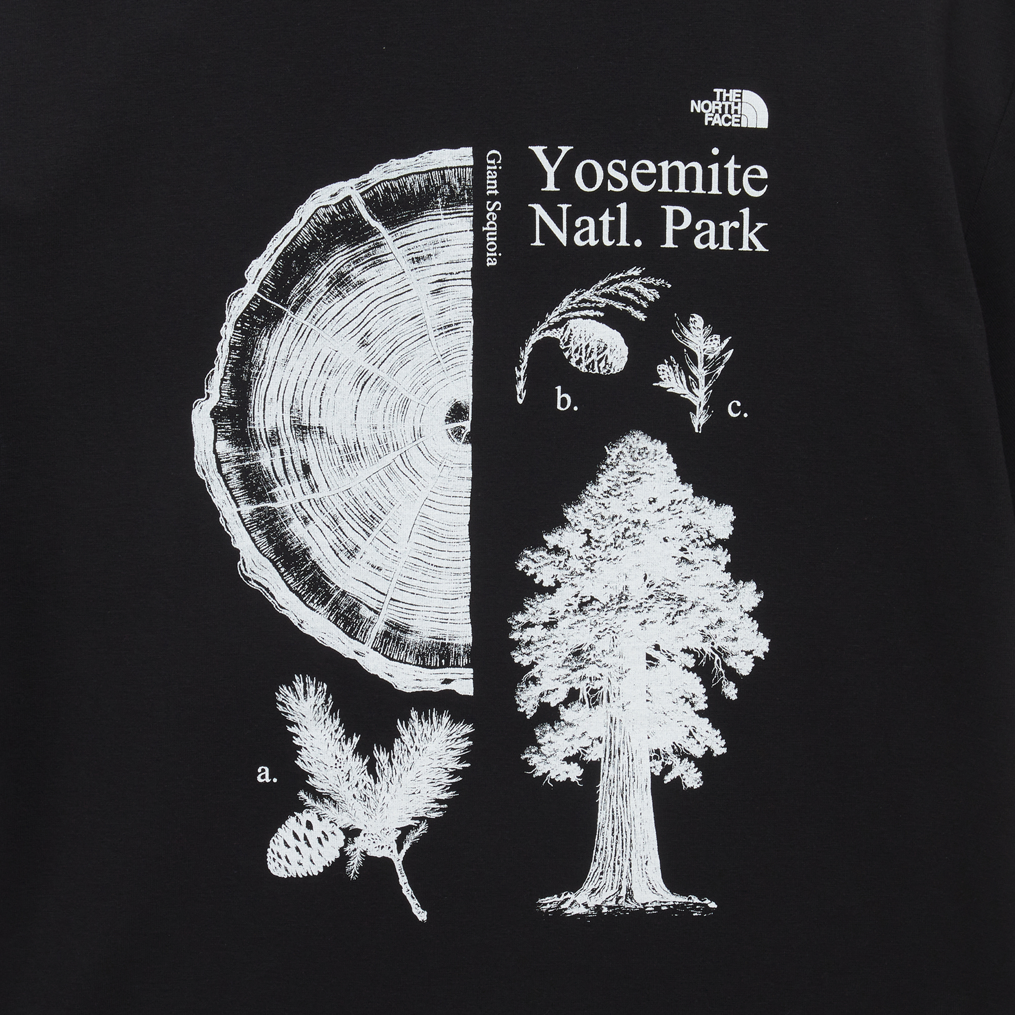 M'S SUMMERCAMP S/S R/TEE