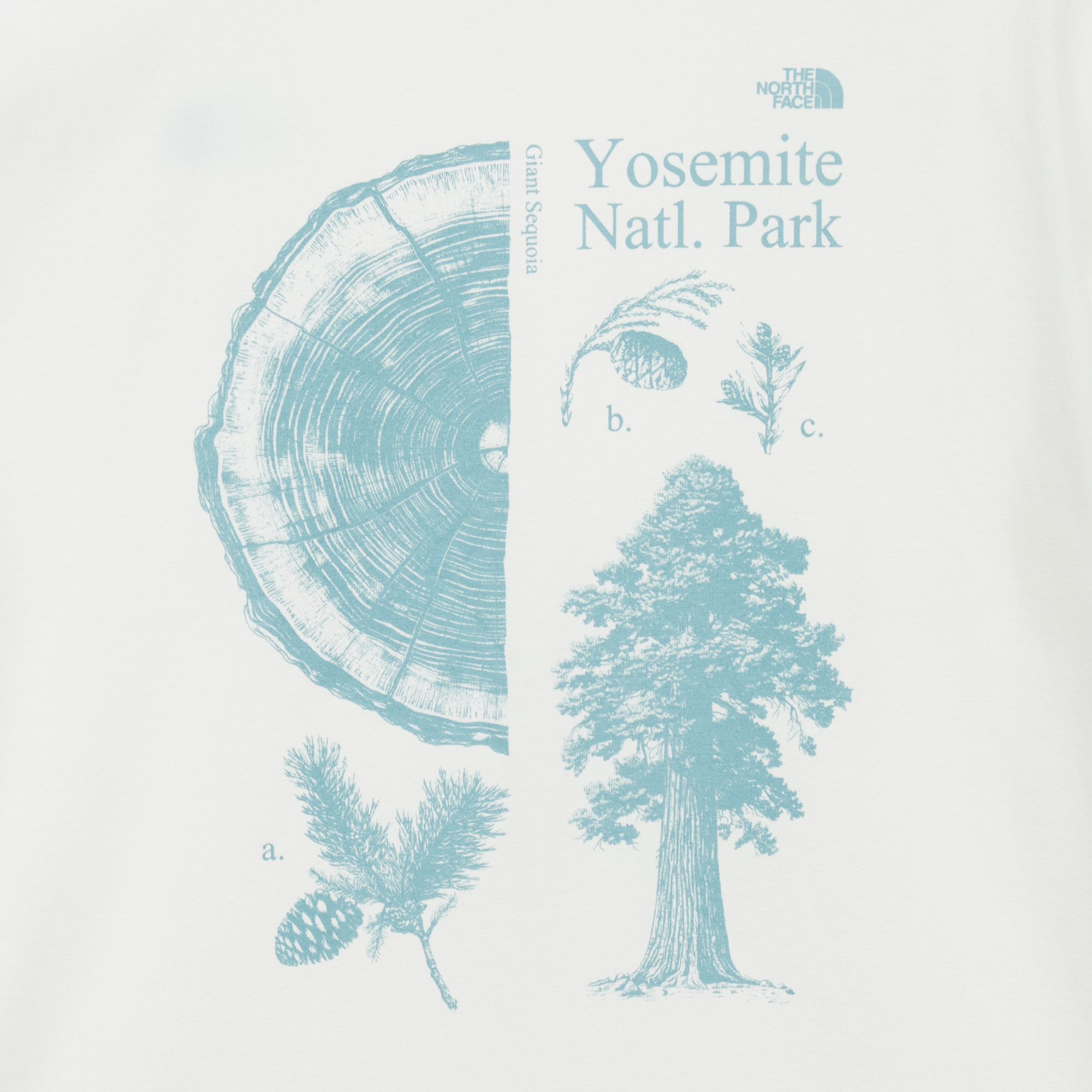 M'S SUMMERCAMP S/S R/TEE