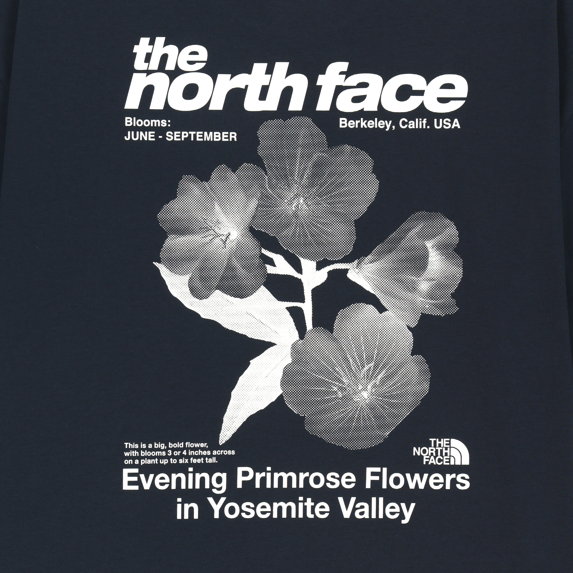 WILDFLOWER S/S R/TEE