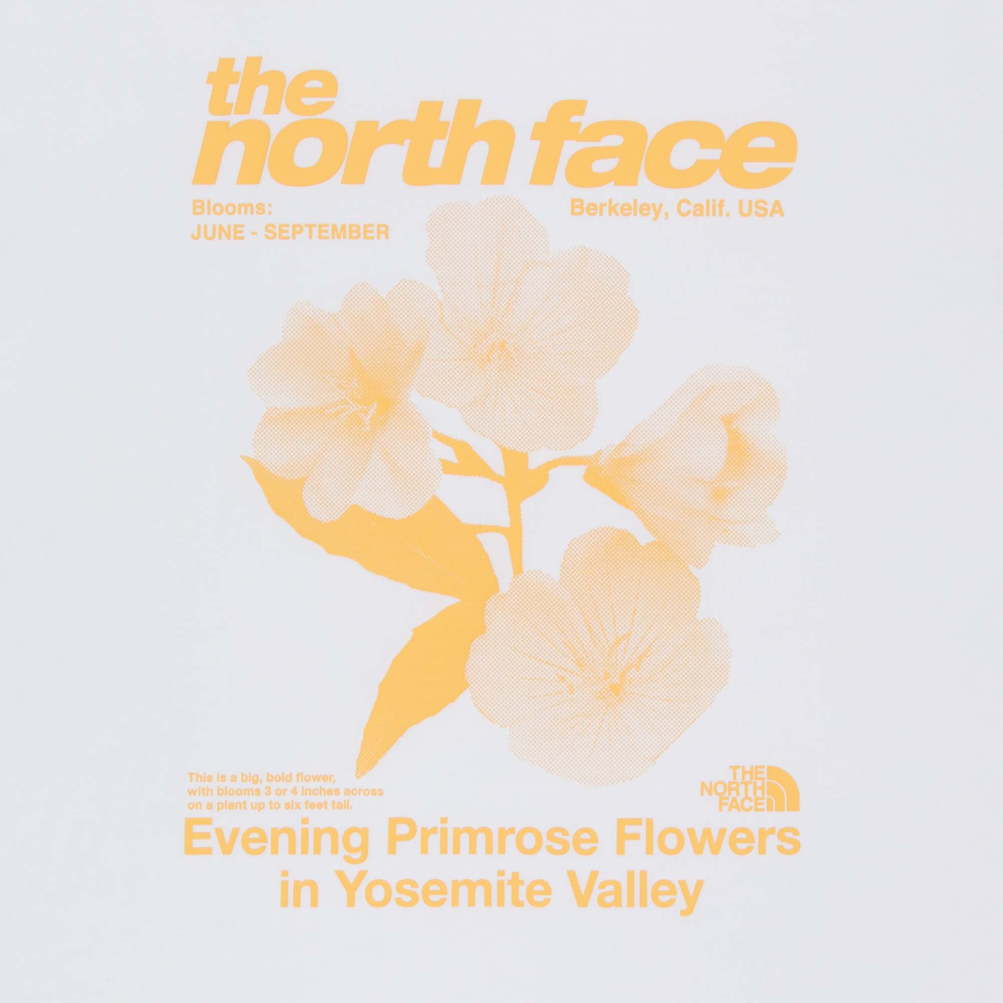 WILDFLOWER S/S R/TEE