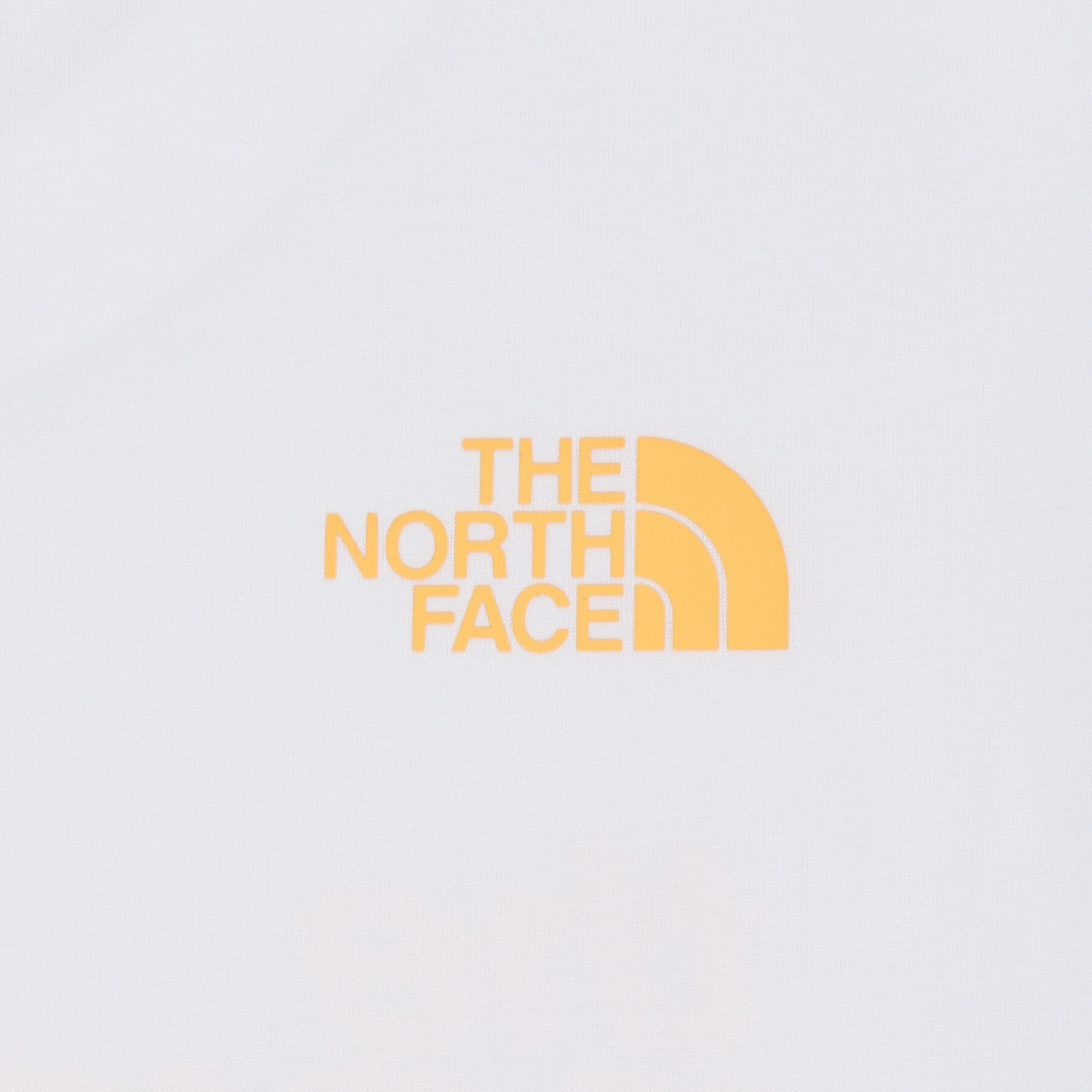 WILDFLOWER S/S R/TEE