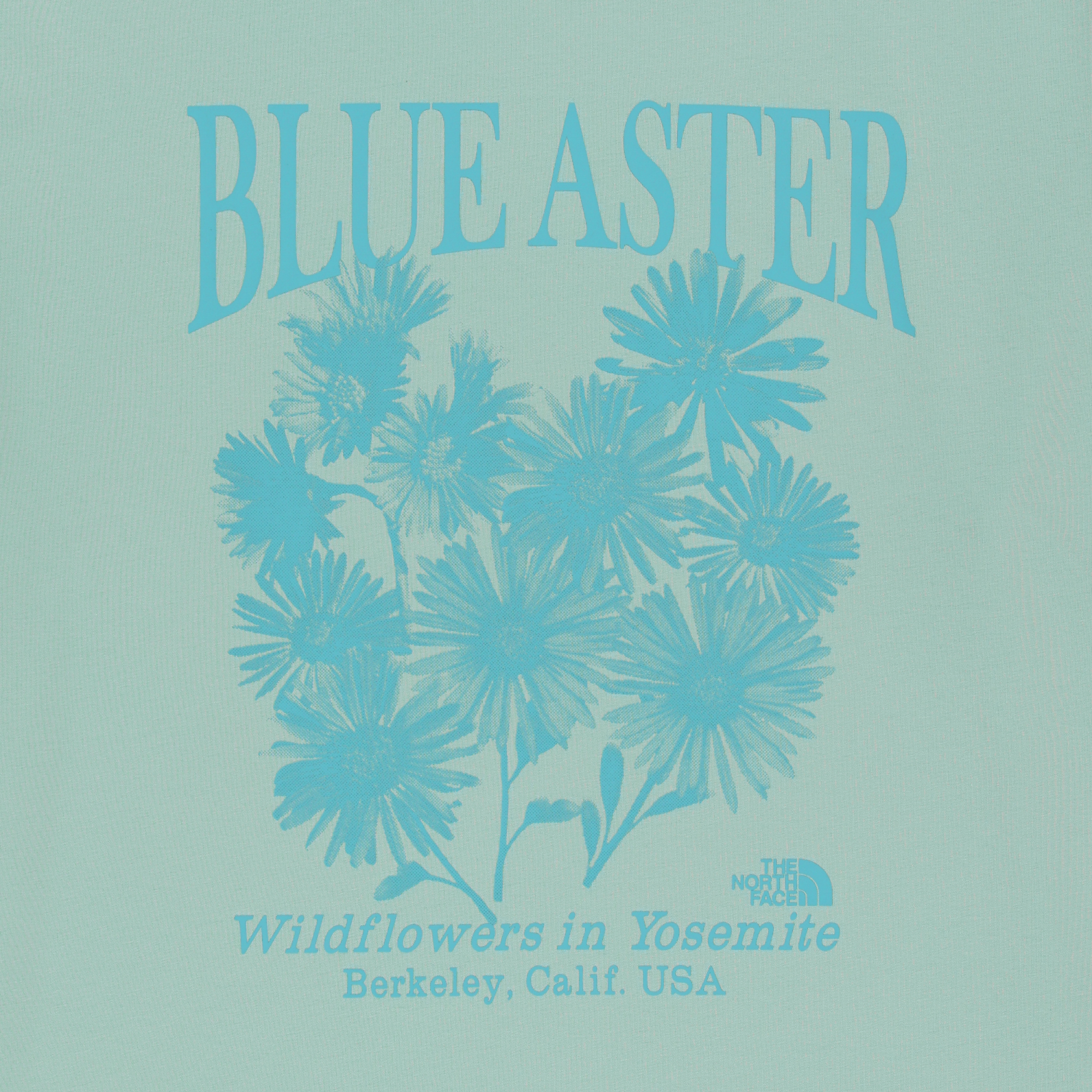 WILDFLOWER S/S R/TEE