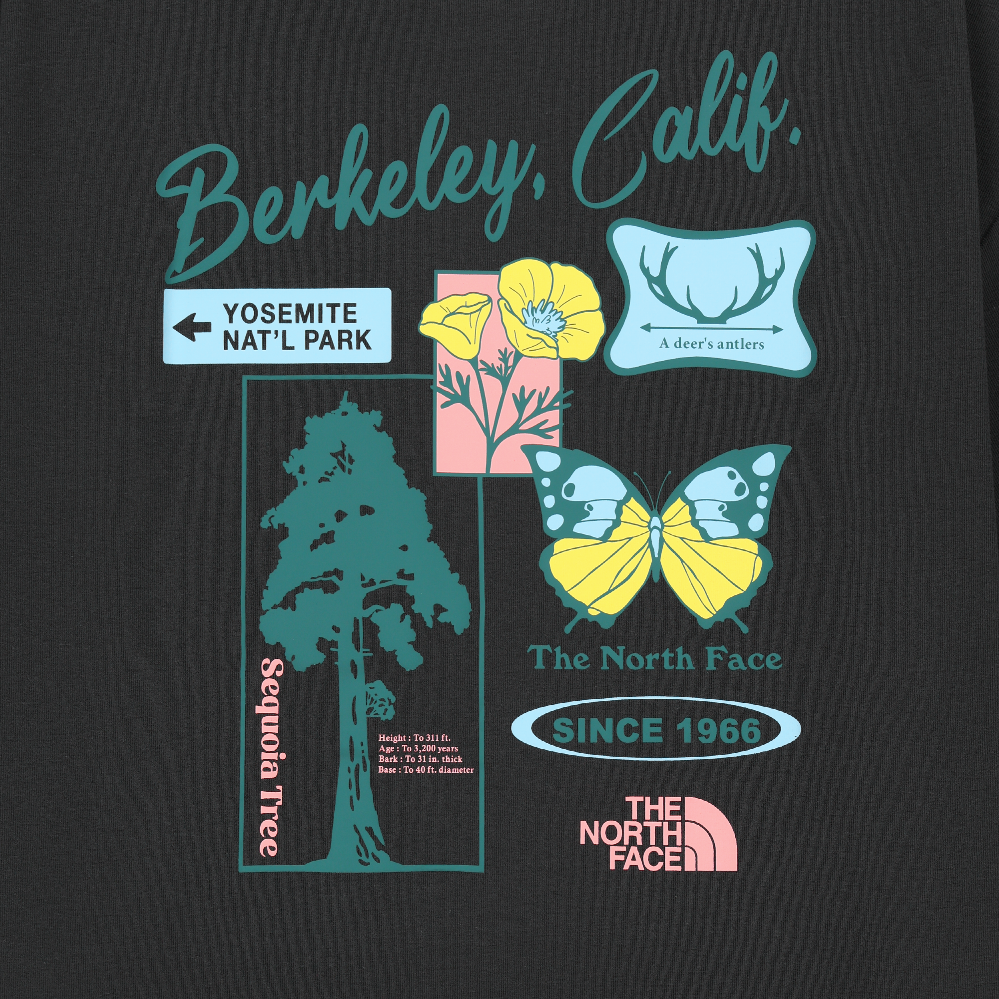 BERKELEY S/S R/TEE
