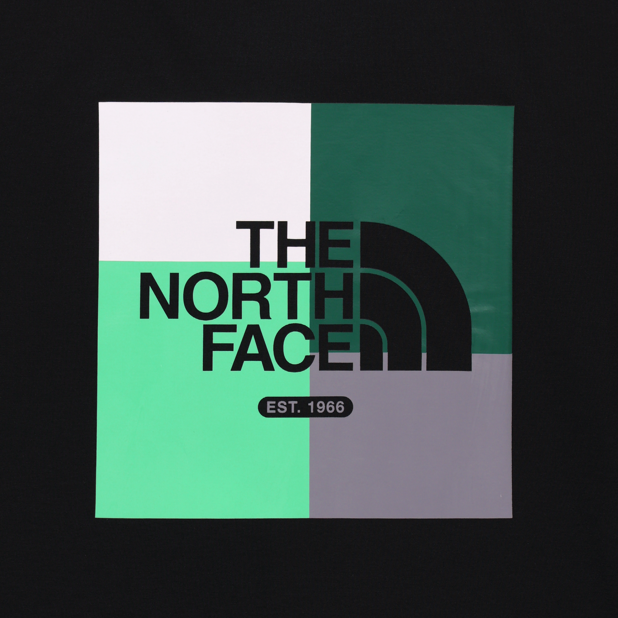 COLOR PEAK EX S/S R/TEE