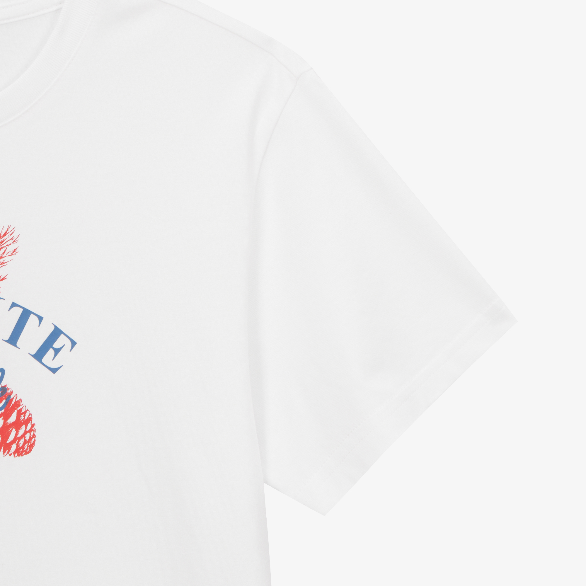 W'S DAYPINE S/S R/TEE